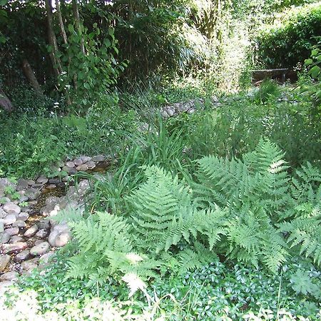 B&B 'T Nije Huus Schoonoord Ngoại thất bức ảnh